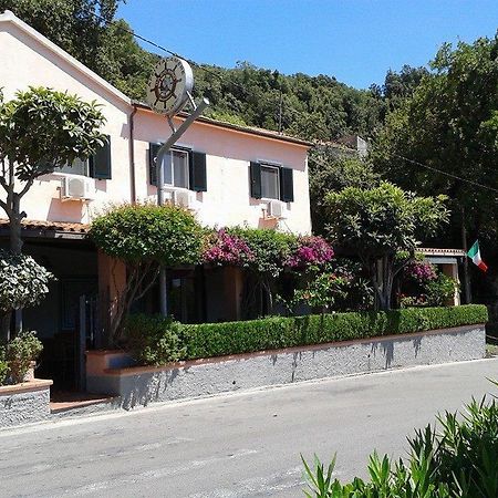Da Zio Pino Hotel Maratea Ngoại thất bức ảnh